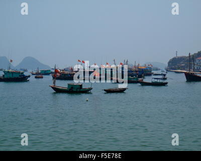 Paysage pittoresque sur la mer. La baie d'Ha Long, Vietnam Banque D'Images