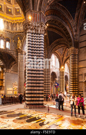 De l'intérieur (Duomo di Siena) (La Cathédrale de Sienne), datant du milieu du 14ème siècle, Sienne, Toscane, Italie, Europe Banque D'Images