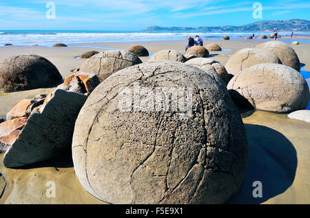 D'énormes rochers sphériques 'Moeraki Boulders' sur la plage de Koekohe sont dispersés sur la côte d'Otago entre Moeraki et Hampden, île du Sud, NZ Banque D'Images