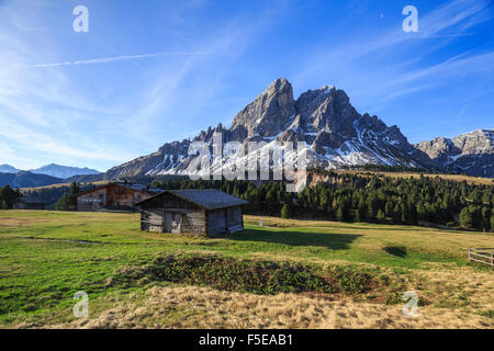 Sass de Putia en arrière-plan enrichi de vertes prairies, le Passo delle Erbe, Tyrol du Sud, Puez Odle, Dolomites, Italie, Europe Banque D'Images