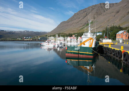 Bateaux dans le port au village de Bildudalur, Fjords de l'Ouest, l'Islande, les régions polaires Banque D'Images