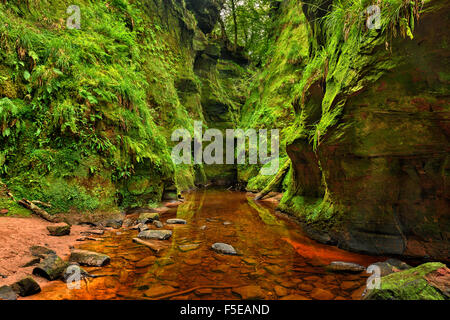 Glen Finnich, également connu sous le nom de Devil's Pulpit près de Loch Lomond, Ecosse, Royaume-Uni. Traitement HDR. Banque D'Images