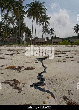 La pollution sur la plage de goudron en raison de déversements d'huile à partir de l'expédition dans l'île de Bintan, Sumatra, Indonésie, Asie du Sud, Asie Banque D'Images