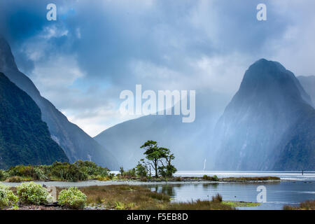 Milford Sound, Fiordland National Park, site du patrimoine mondial de l'UNESCO, Réserve Marine Piopiotahi, île du Sud, Nouvelle-Zélande Banque D'Images