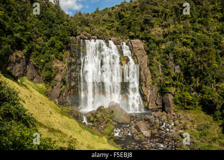 Marokopa Falls, karst de Waitomo, île du Nord, Nouvelle-Zélande, Pacifique Banque D'Images