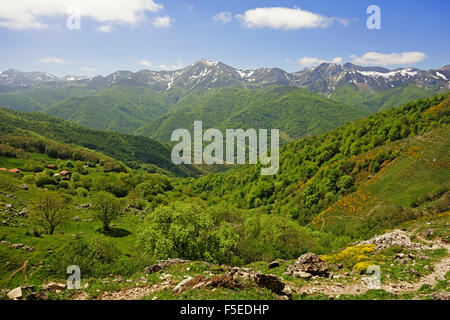 Fuente De, Picos de Europa, Parque Nacional de los Picos de Europa, Asturias, Cantabria, Spain, Europe Banque D'Images