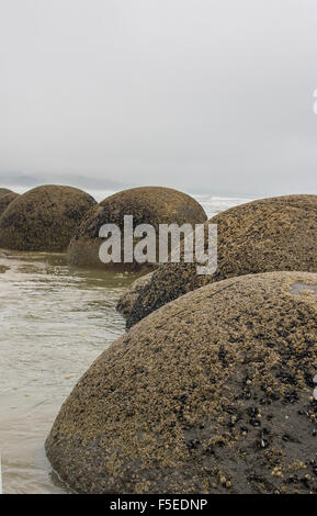 Moeraki Boulders en Nouvelle Zélande Banque D'Images