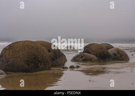 Moeraki Boulders en Nouvelle Zélande Banque D'Images