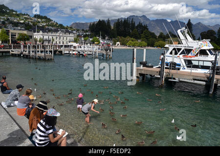 Les gens se nourrissent les oiseaux au Lac Wakatipu, Queenstown, île du Sud, Nouvelle-Zélande Banque D'Images
