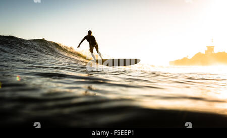 Femme surf au coucher du soleil, Malibu, California, USA Banque D'Images