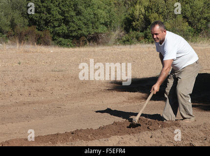 Homme creuser avec binette à jardin Banque D'Images