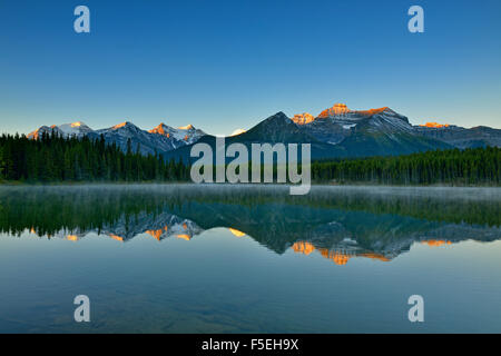 La gamme Bow reflète dans Herbert Lake à l'aube, Banff National Park, Alberta, Canada Banque D'Images