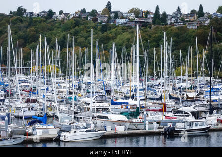 Yachts dans Shilshole Bay Marina, Seattle, Washington, USA Banque D'Images