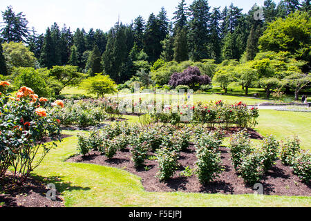 Le parc Stanley est mille acres refuge urbain souvent cité comme l'un des plus beaux parcs publics, Vancouver, Colombie-Britannique, Banque D'Images