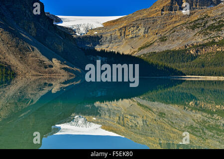 Eflected glacier Bow Bow, Banff National Park, Alberta, Canada Banque D'Images