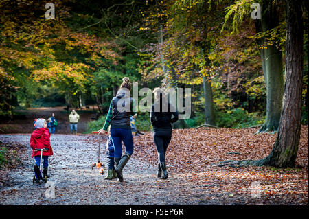 Les mères et leurs enfants marcher dans une forêt d'automne dans l'Essex, Angleterre, Royaume-Uni. Banque D'Images