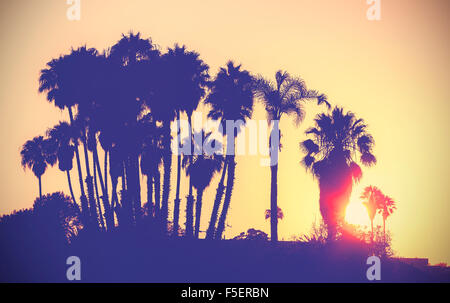 Vintage photo stylisée de silhouettes de palmiers au coucher du soleil, en Californie, aux États-Unis. Banque D'Images