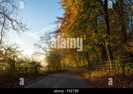 Campagne d'automne dans les Cotswolds au lever du soleil. Le Gloucestershire, Angleterre. Banque D'Images