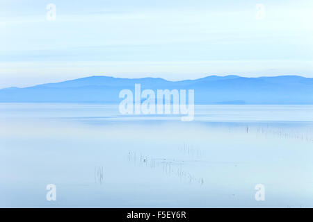 Les filets de pêche et un oiseau sur un paysage tranquille de Trasimeno Lake sur le coucher du soleil. L'Ombrie, Italie. Banque D'Images