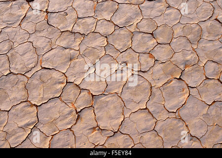 Surface brisée d'un sel et d'argile ou playa pan, Tassili n'Ajjer, Algérie, désert du Sahara, l'Afrique du Nord Banque D'Images