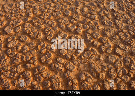 Surface brisée d'un sel et d'argile ou playa pan, Tassili n'Ajjer, Algérie, désert du Sahara, l'Afrique du Nord Banque D'Images