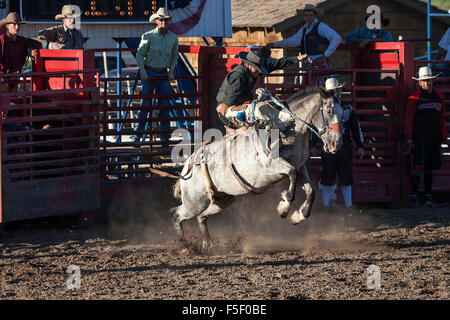 Cavalier, Bryce Canyon Country Rodeo, Bryce Canyon City, Utah, United States Banque D'Images