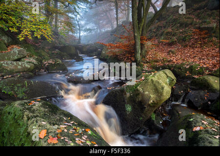 Gorge Padley en automne, près de Grindleford, parc national de Peak District, Derbyshire, Angleterre, Banque D'Images