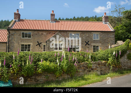 Gants Fox et Cottage. Hutton le Hole, North Yorkshire Banque D'Images