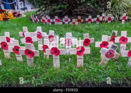 De petites croix avec coquelicots sur dans un jardin du souvenir pour le jour de l'Armistice Banque D'Images