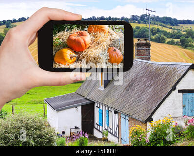 Concept de la saison - man taking photo de citrouilles mûres sur la paille dans le jardin à la ferme paysanne sur smartphone Banque D'Images