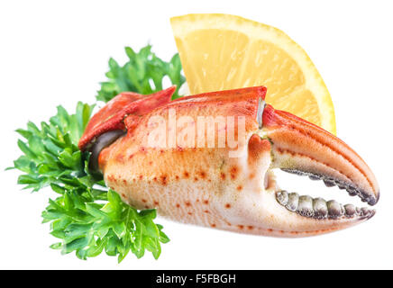 Pinces de crabe cuites avec du citron et d'herbes sur un fond blanc. Banque D'Images