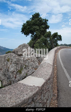 Route de montagne, rochers et forêt vert paysage sur une journée ensoleillée à Majorque, îles Baléares, Espagne. Banque D'Images