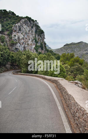 Route de montagne, rochers et forêt vert paysage sur une journée ensoleillée à Majorque, îles Baléares, Espagne. Banque D'Images