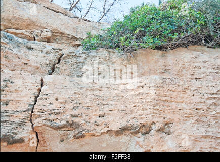 La formation de la roche calcaire massif avec des fissures à Porto Cristo, Majorque, Iles Baléares, Espagne. Banque D'Images