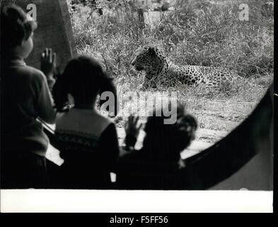 1967 - Le nouveau lion terrasses au Zoo de Londres : le nouveau Lion d'une terrasse qui est un complexe de maisons, jardins et enclos-il remplacer le vieux lion house, la maison pour les 100 ans des lions, tigres et autres grands félins. Le coût du projet a été atteint à partir de la subvention en capital faite par le Gouvernement de Sa Majesté la Reine en 1970 et un don de 2000,000 de Sir Charles Clore, l'un des plus grands bienfaiteurs de la société. Hier soir, le duc d'Édimbourg, Président de la Société zoologique de Londres, a reçu de Sa Majesté la Reine le Patron de la société, au Zoo de Londres lorsqu'elle a assisté à une réception pour marquer Banque D'Images