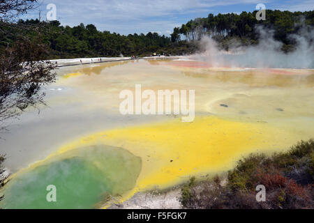 Waiotapu thermal colorés, Waiotapu Thermal Wonderland, Rotorua, île du Nord, Nouvelle-Zélande Banque D'Images