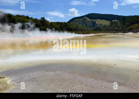 Waiotapu thermal colorés de l'artiste Palette, Waiotapu Thermal Wonderland, Rotorua, île du Nord, Nouvelle-Zélande Banque D'Images