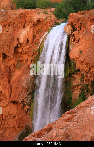 Majestic Mooney Falls sur la réserve des Indiens Havasupai dans le Grand Canyon, Arizona, USA Banque D'Images