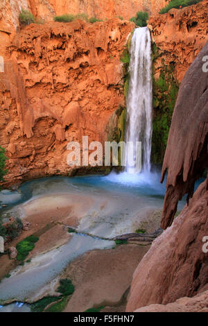 Majestic Mooney Falls sur la réserve des Indiens Havasupai dans le Grand Canyon, Arizona, USA Banque D'Images