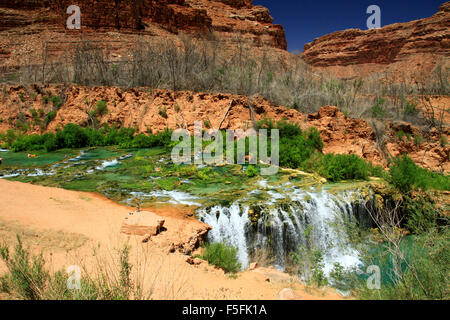 Partie de Beaver Creek le long du sentier à Havasu Falls sur la réserve indienne Havasupai en Arizona Banque D'Images