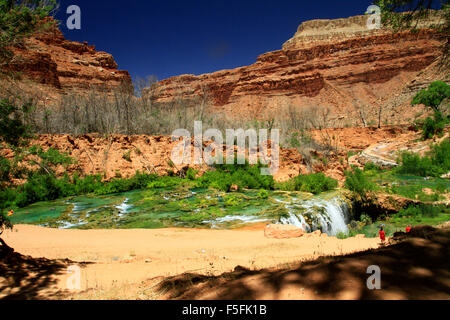 Partie de Beaver Creek le long du sentier à Havasu Falls sur la réserve indienne Havasupai en Arizona Banque D'Images