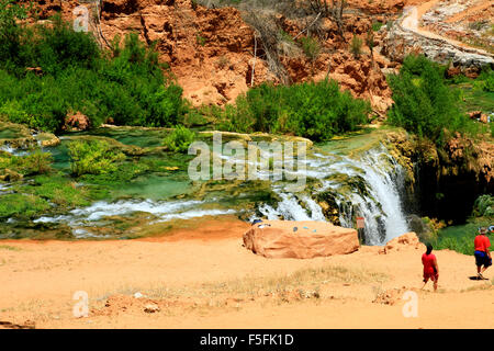 Partie de Beaver Creek le long du sentier à Havasu Falls sur la réserve indienne Havasupai en Arizona Banque D'Images