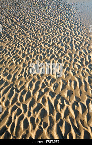 Naturel aléatoire modèle artistique créée par l'action des marées et des vagues de la nature dans le sable humide at beach Banque D'Images