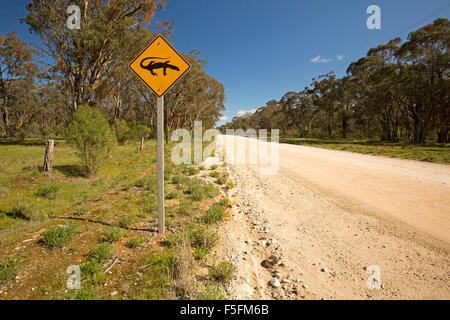 Avertissement signe de présence de lézards goannas, passage à niveau, route de gravier à travers des bois dans la région rurale du sud de l'Australie Banque D'Images