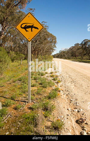 Avertissement signe de présence de lézards goannas, passage à niveau, route de gravier à travers des bois dans la région rurale du sud de l'Australie Banque D'Images