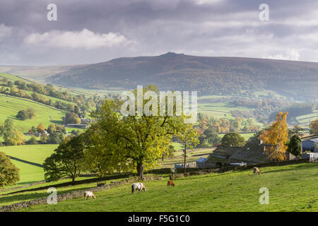 Appletree village et Simon du conducteur, dans le Yorkshire Dales, Wharfedale, Angleterre Banque D'Images