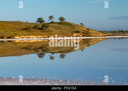 Vue spectaculaire de l'outback australien salt lake avec basse colline, arbres et ciel bleu reflété dans la surface de miroir d'eau à Murray Sunset National Park Banque D'Images