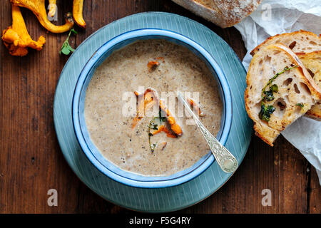 Soupe aux champignons sauvages girolle Banque D'Images