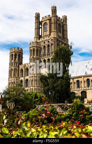 Belle Cathédrale d'Ely qui domine la ville pittoresque Banque D'Images