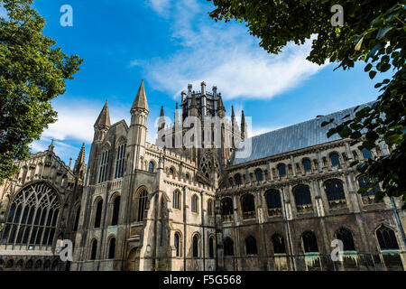 Belle Cathédrale d'Ely qui domine la ville pittoresque Banque D'Images